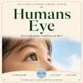 Humans: Eye