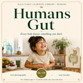 Humans: Gut