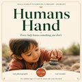 Humans: Hand