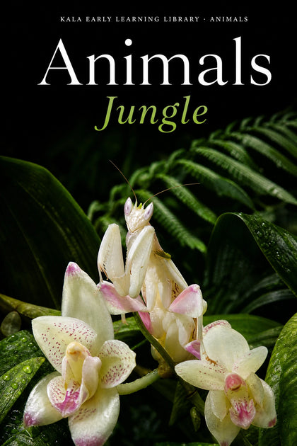 Animals Jungle digital picture book cover showing a realistic flower mantis on orchids