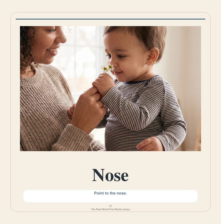 Books Around 18 Months: Simple Language, Pictures and Shared Attention