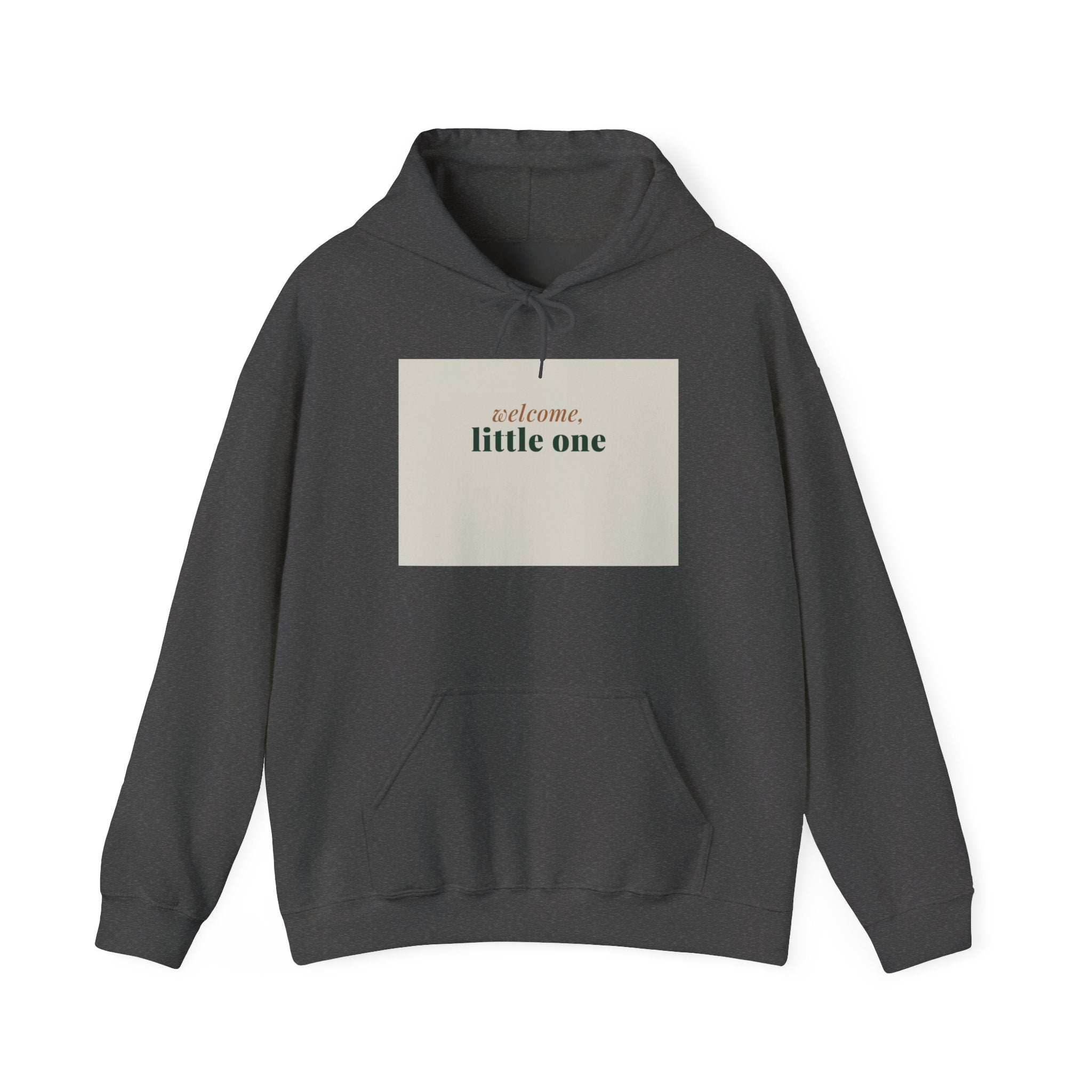 Welcome Little One Hoodie