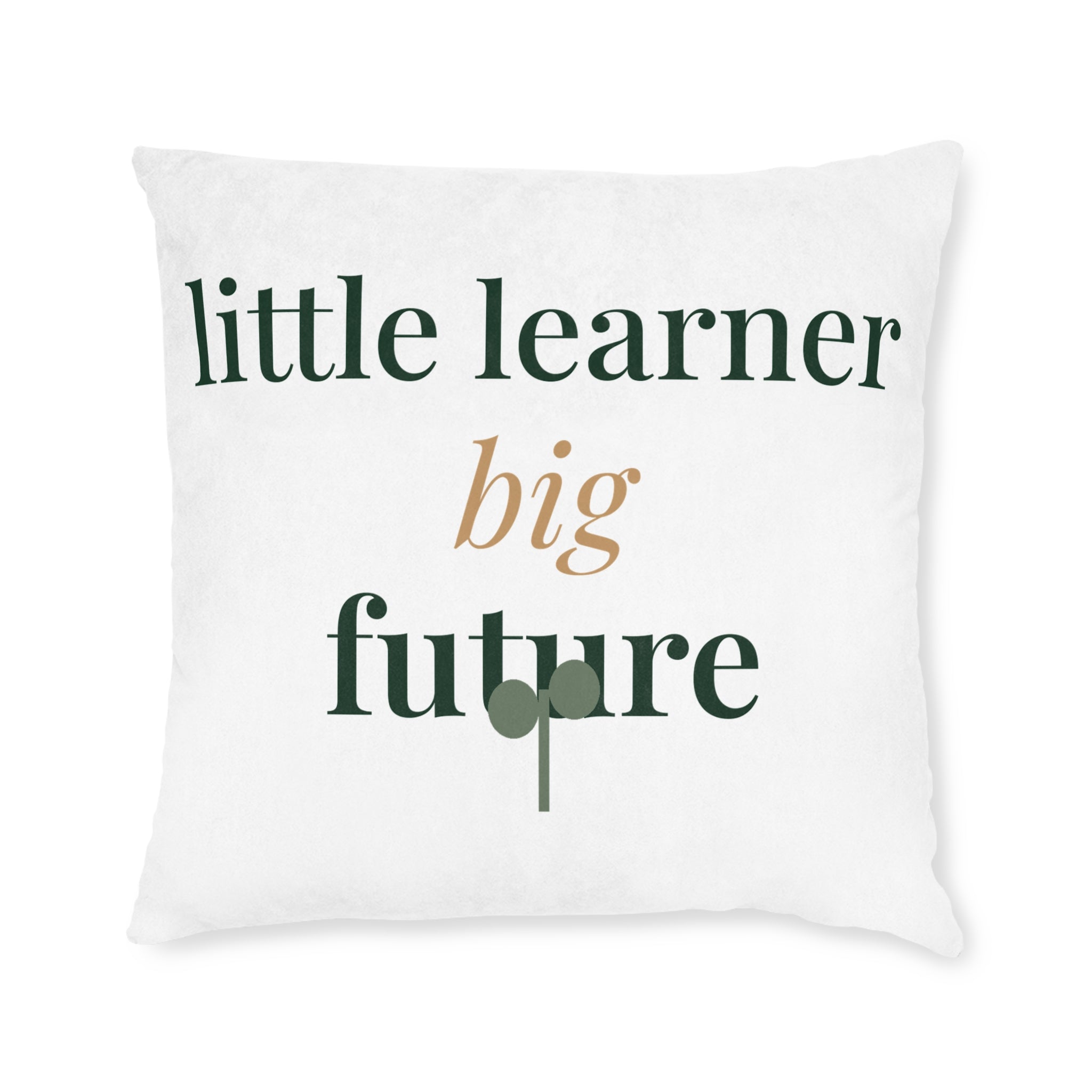 Little learner, big future Pillow