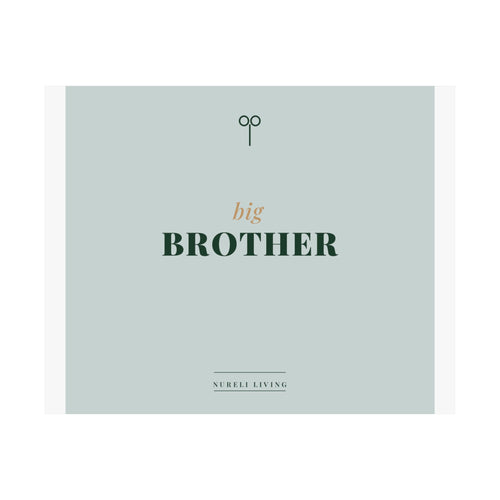 Big Brother Art Print