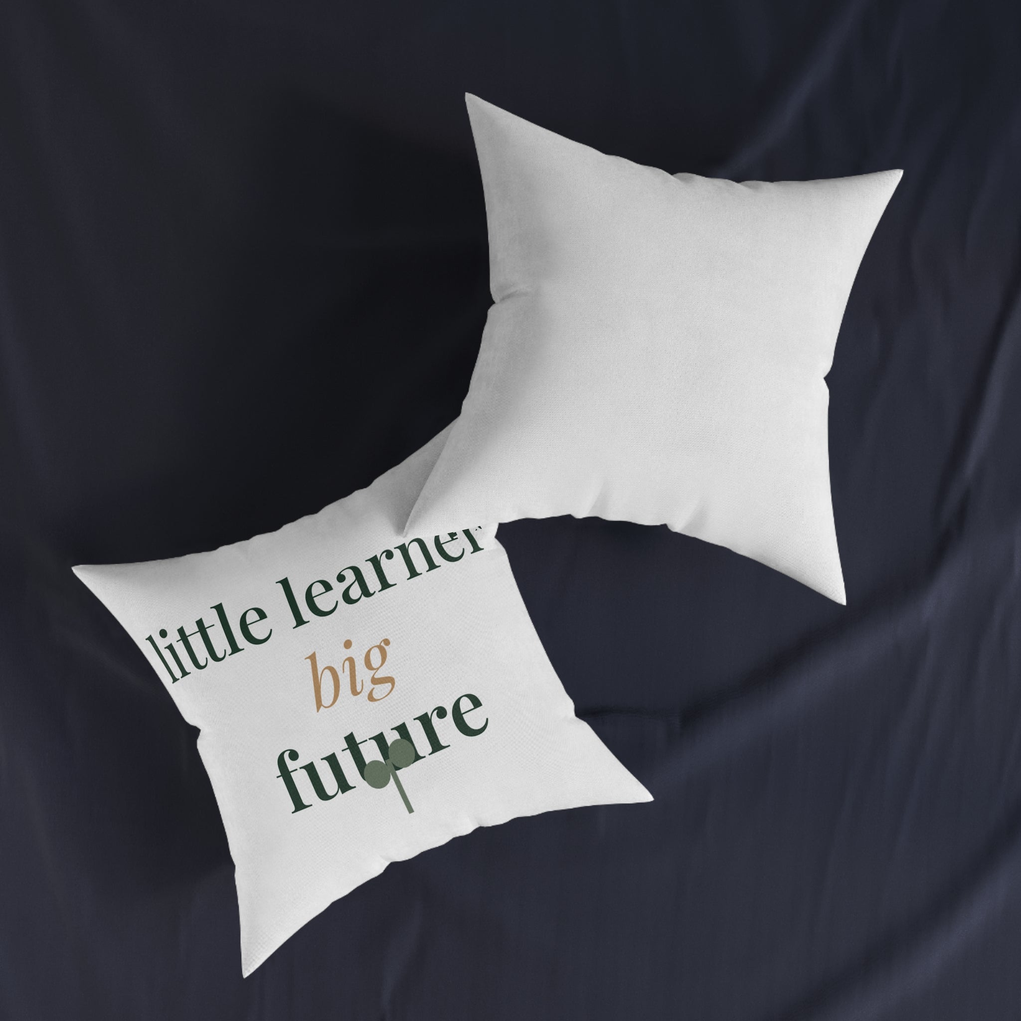 Little learner, big future Pillow