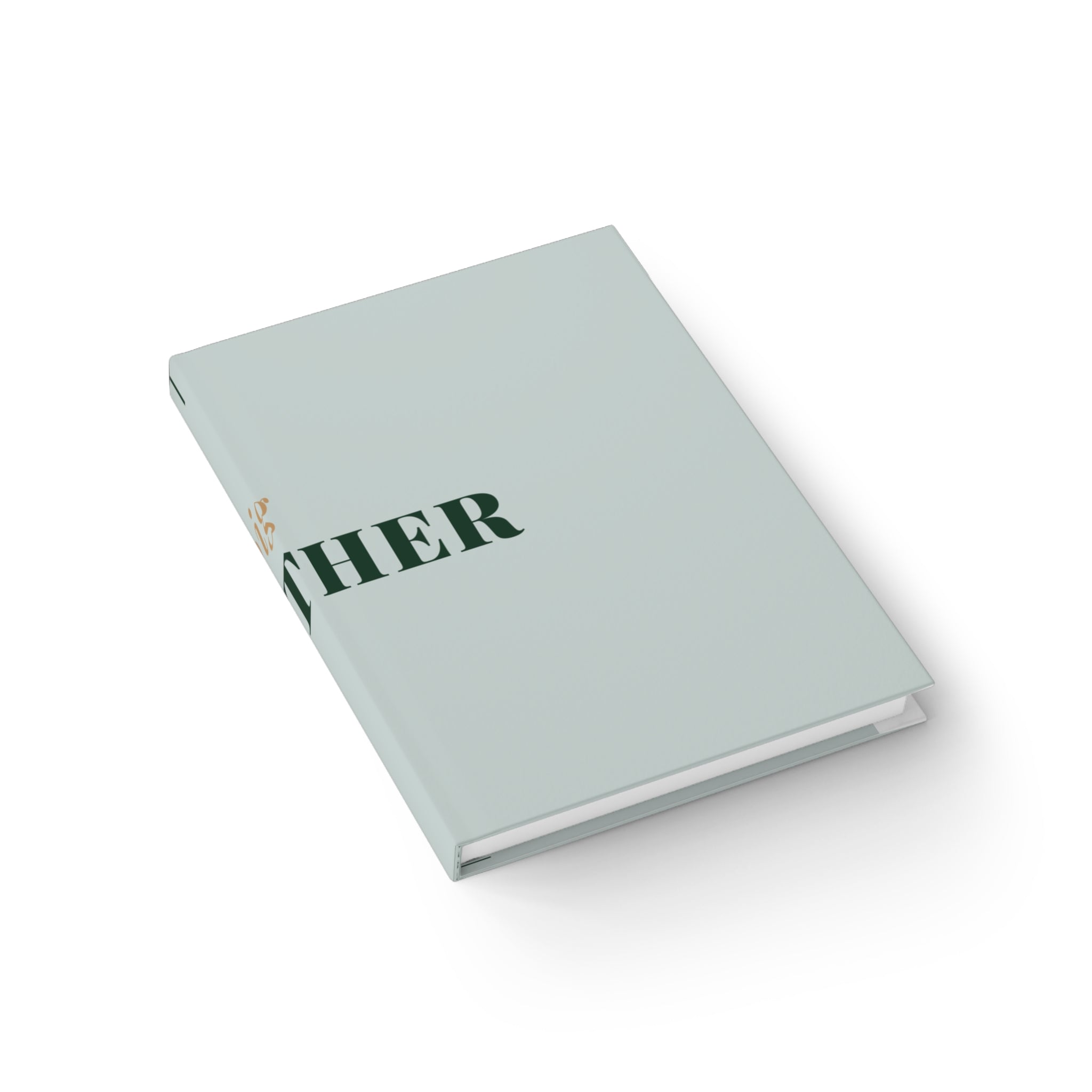 Big Brother Journal