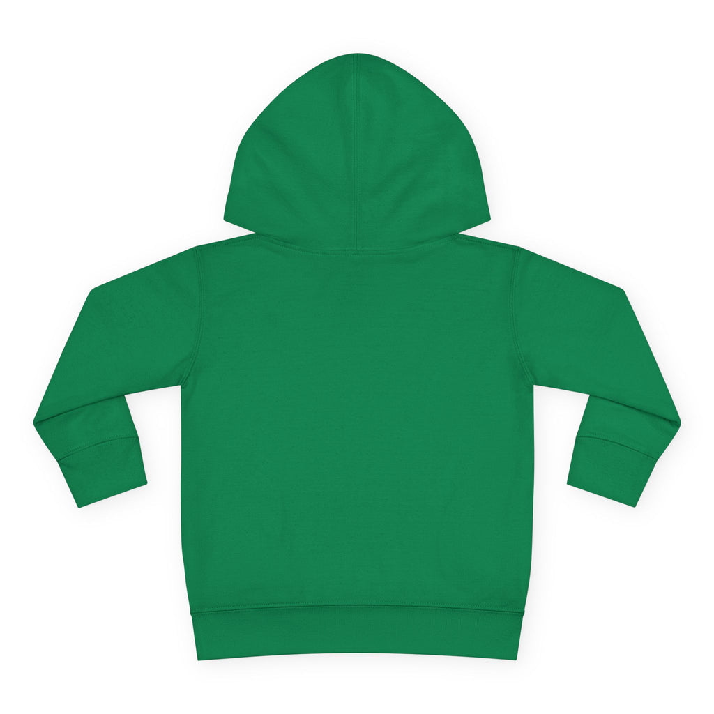 Adventure Awaits Toddler Hoodie - Nureli Kids