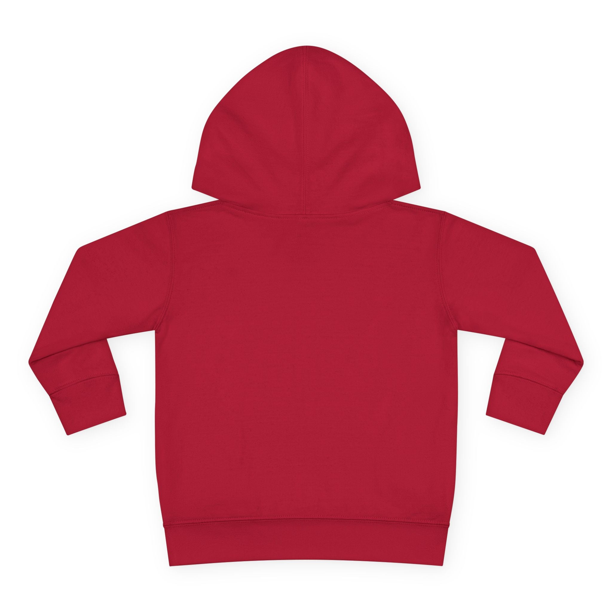 Tiny Dragon Toddler Hoodie — Nureli Kids