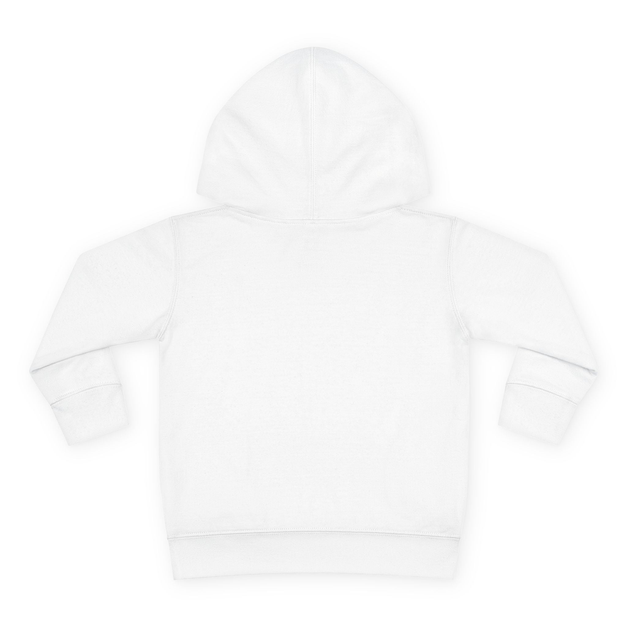 Little Astronaut Toddler Hoodie — Nureli Kids