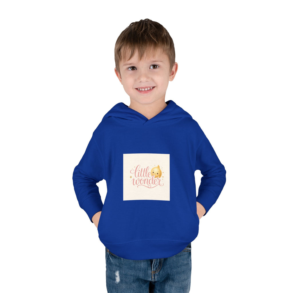 Little Wonder Toddler Hoodie - Nureli Kids