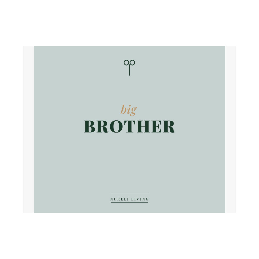 Big Brother Art Print