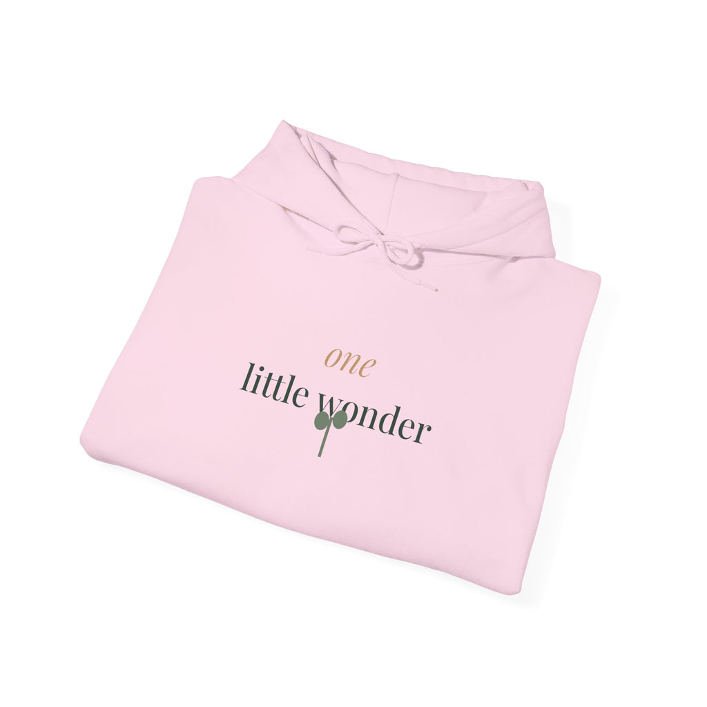 One little wonder Sweatshirt