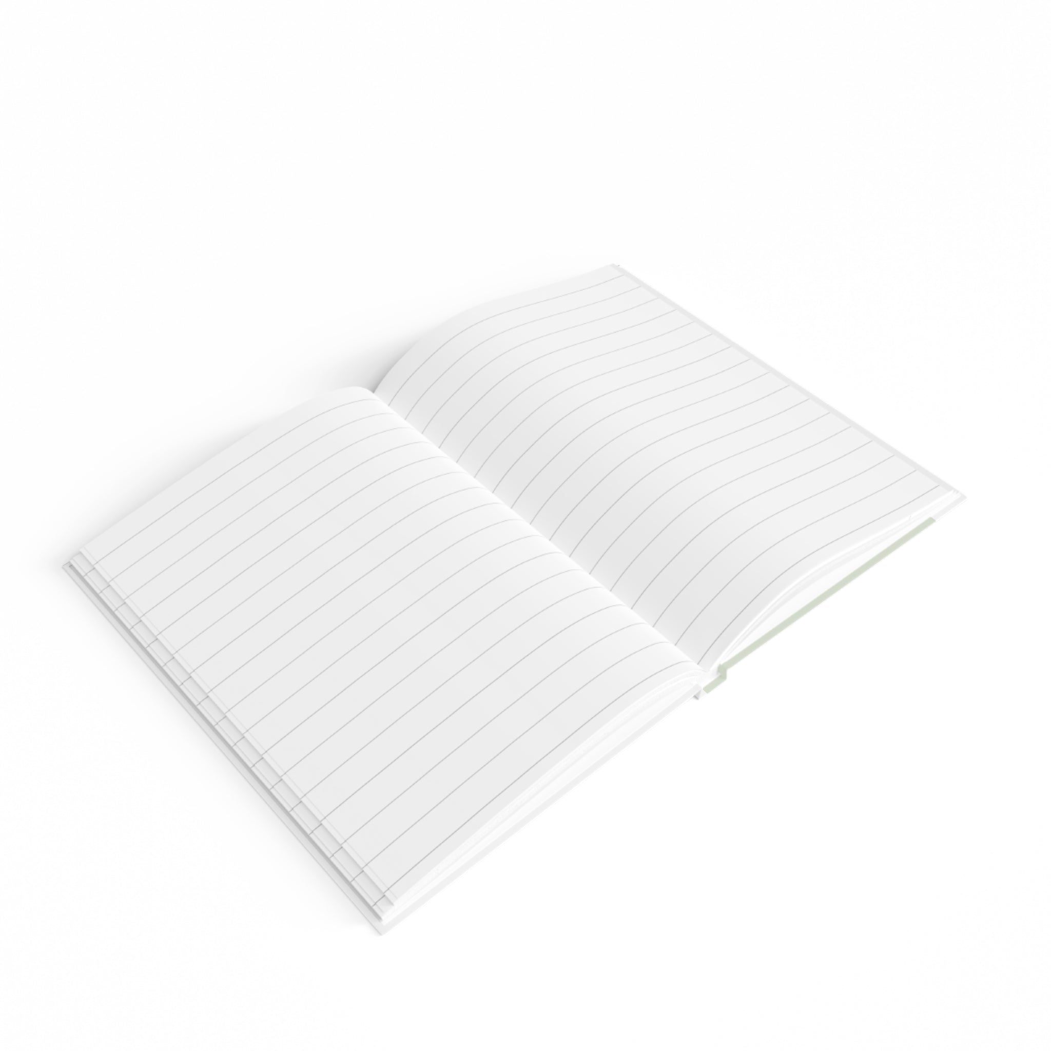 Big Sister Journal