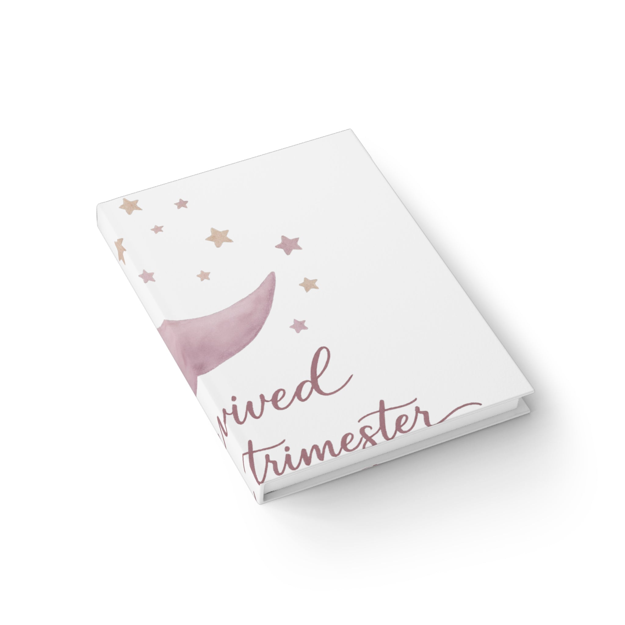 I Survived the Fourth Trimester Journal
