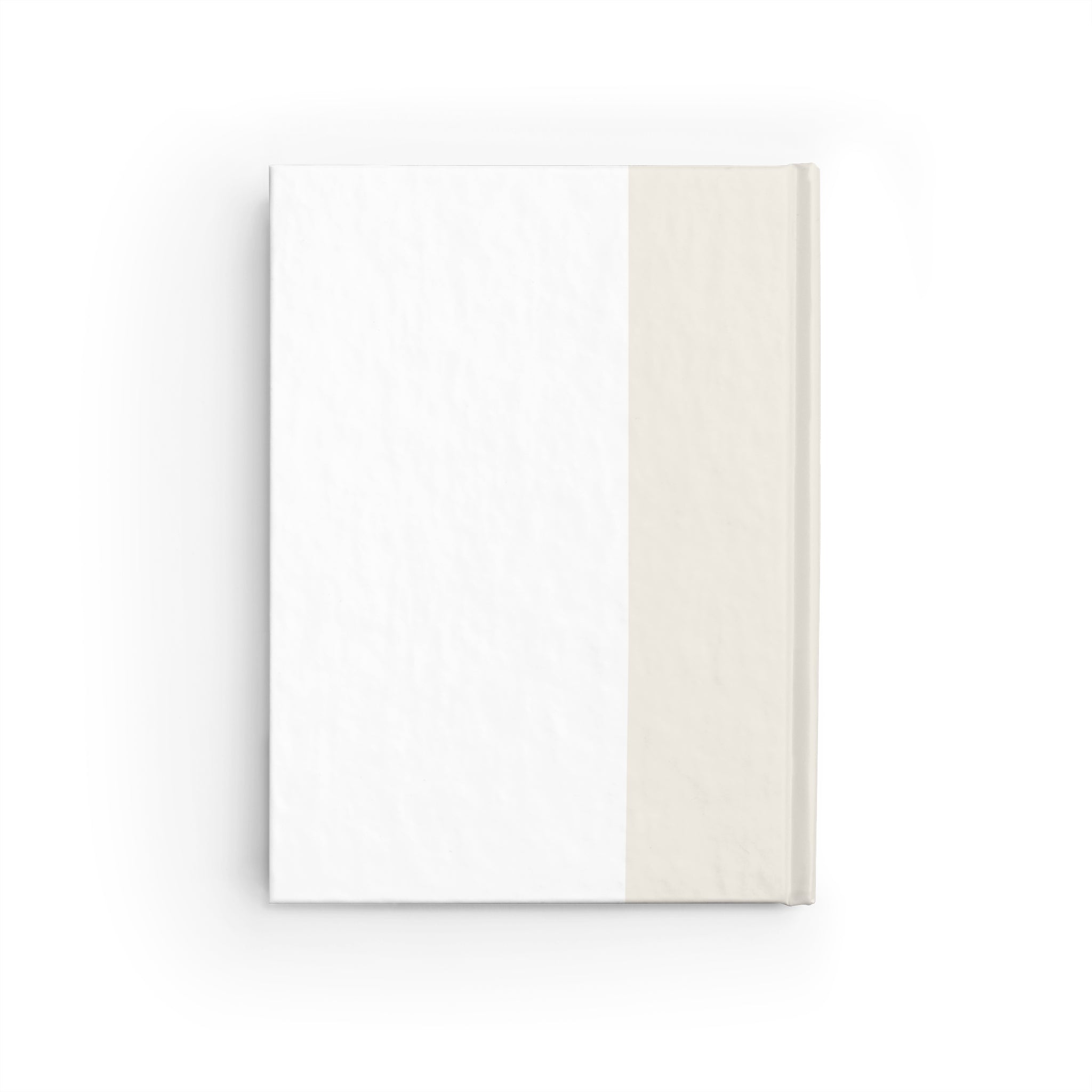 Little Learner Big Future Journal