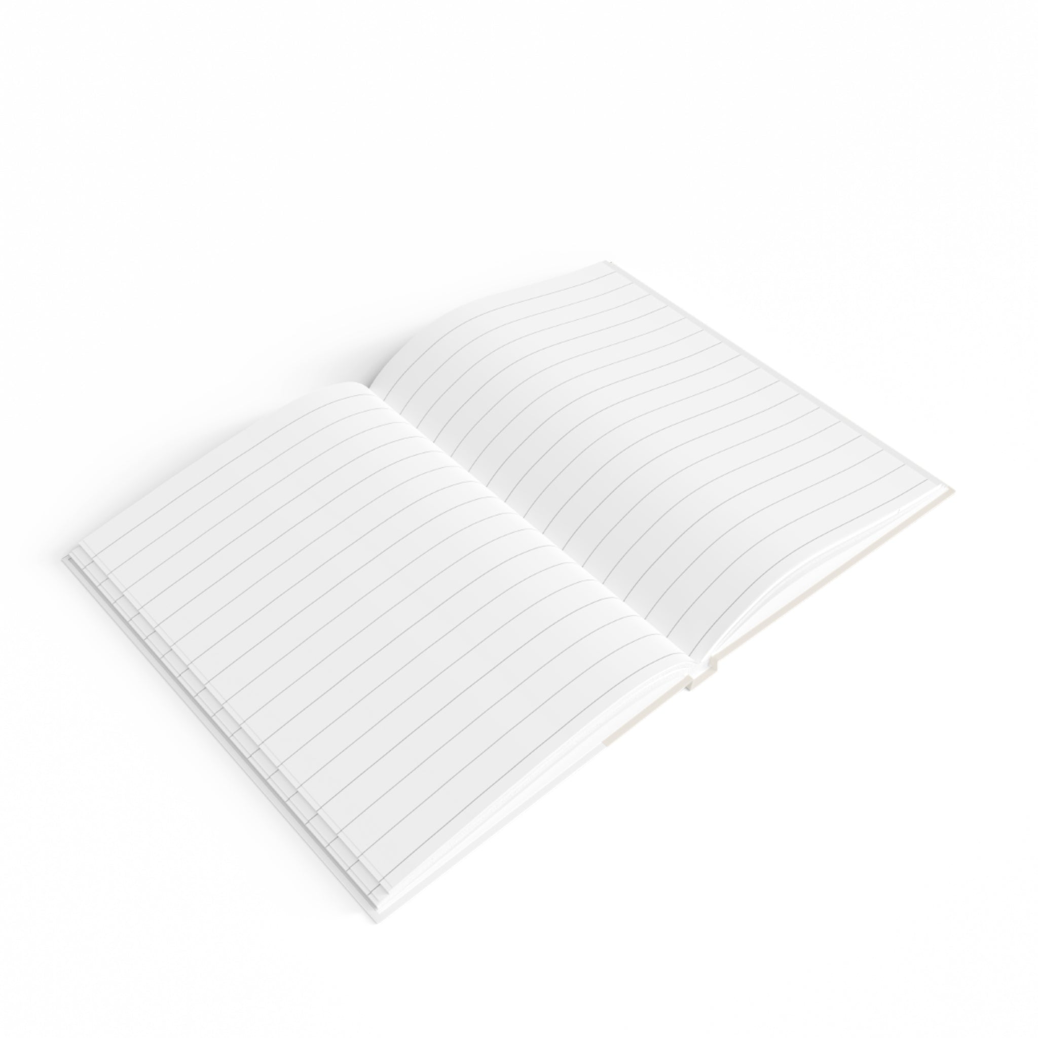 Little Learner Big Future Journal