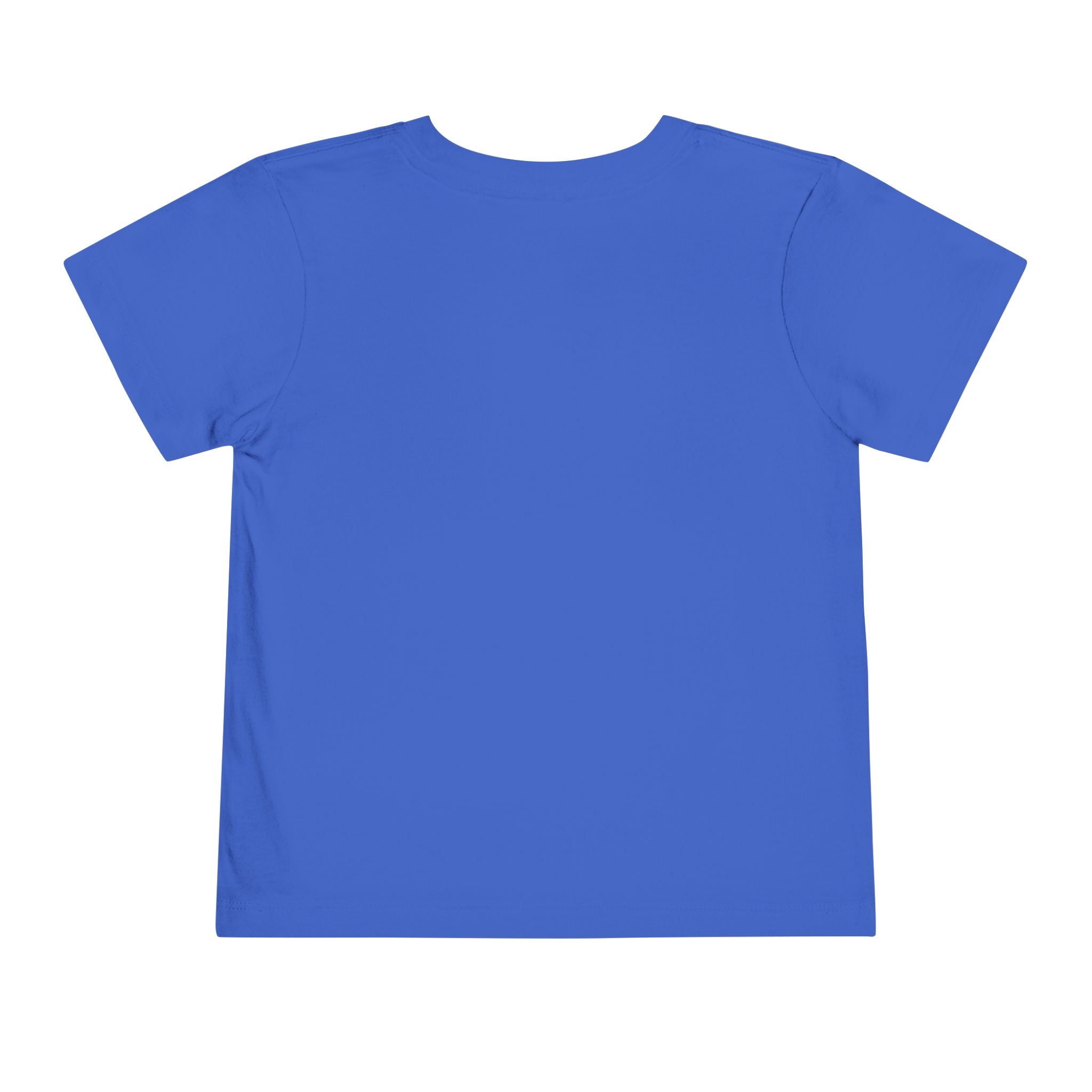 Tiny Dragon Toddler T-Shirt — Nureli Kids