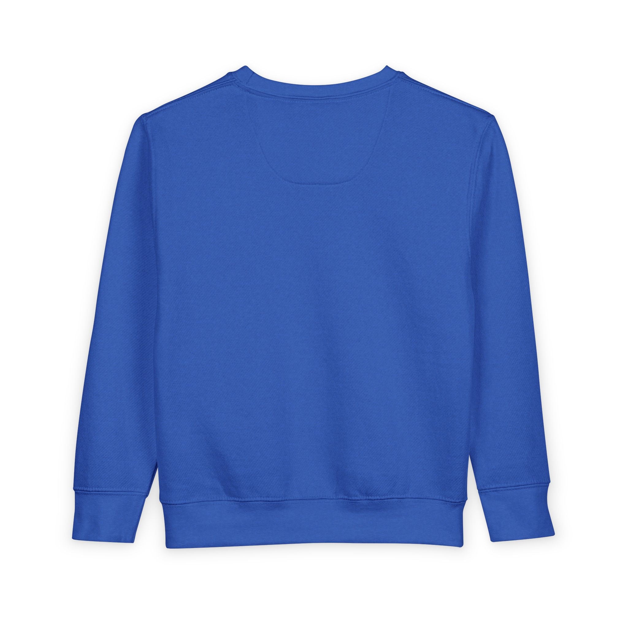 Wise Little Owl Toddler Sweatshirt — Nureli Kids