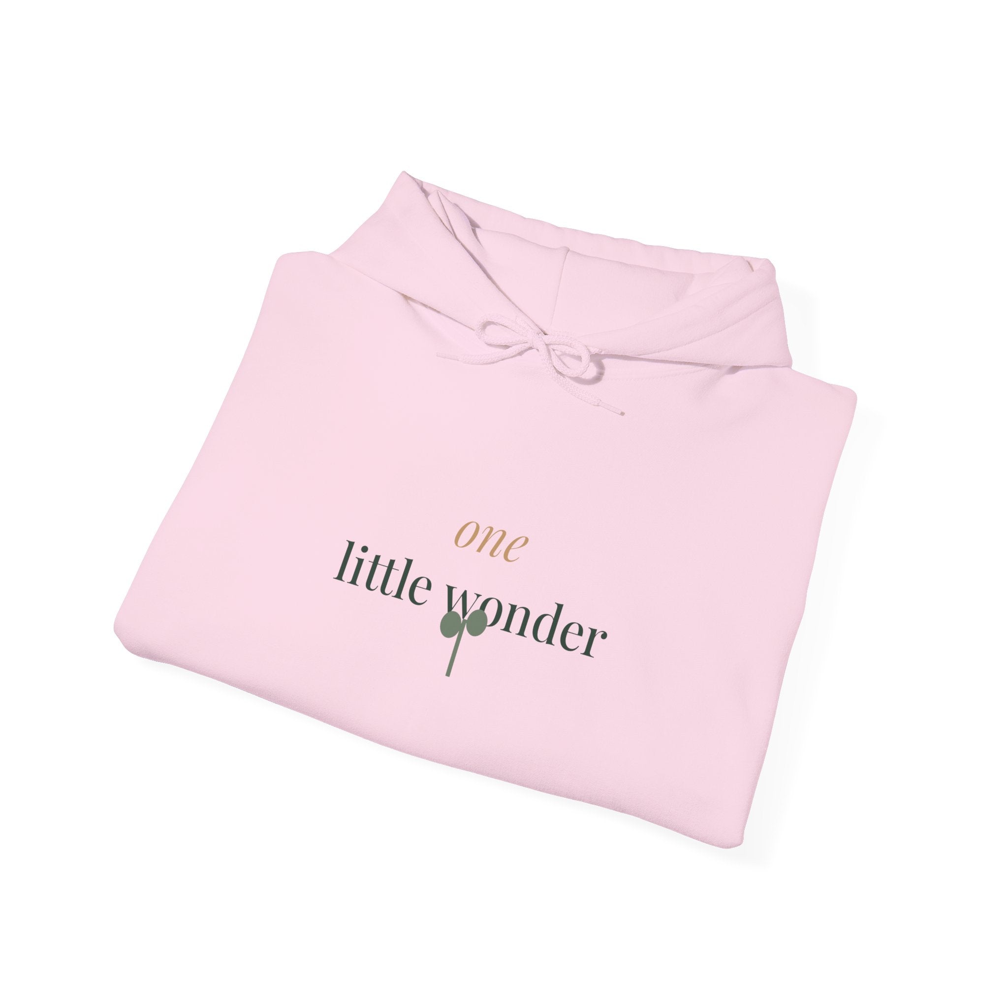 One little wonder Hoodie