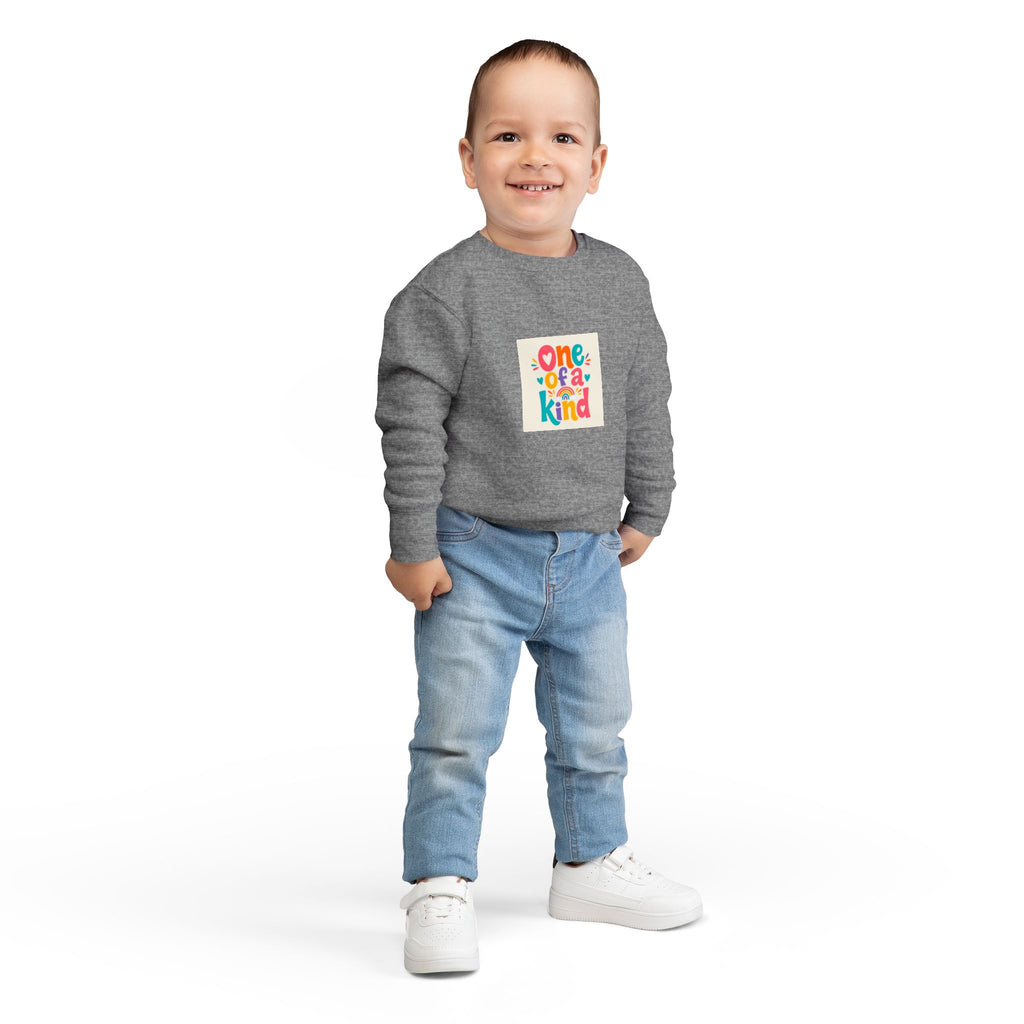 One Of A Kind Toddler Sweatshirt - Nureli Kids