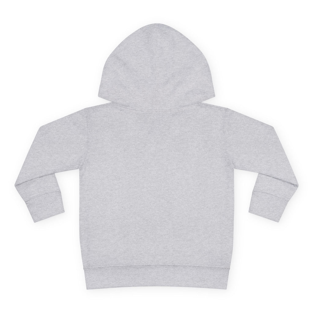 Tiny Dragon Toddler Hoodie — Nureli Kids