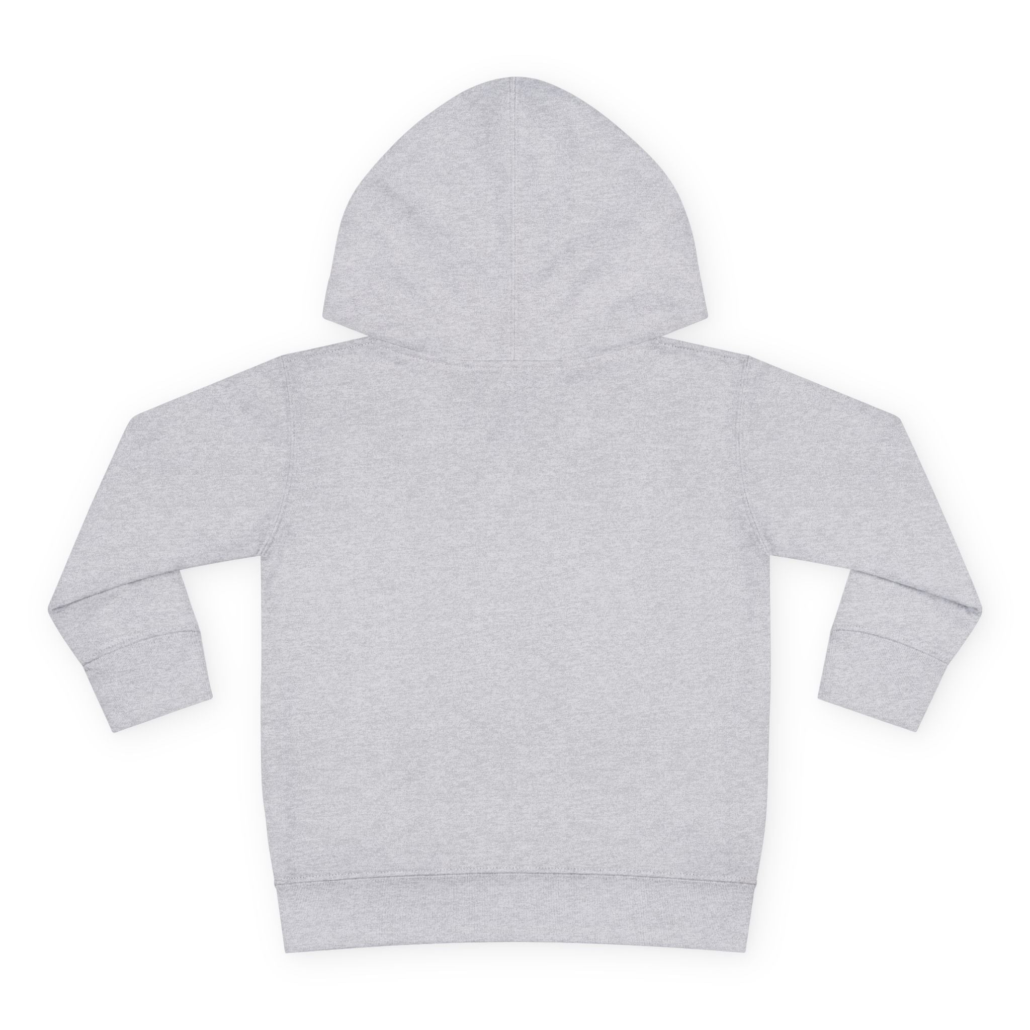 Tiny Dragon Toddler Hoodie — Nureli Kids