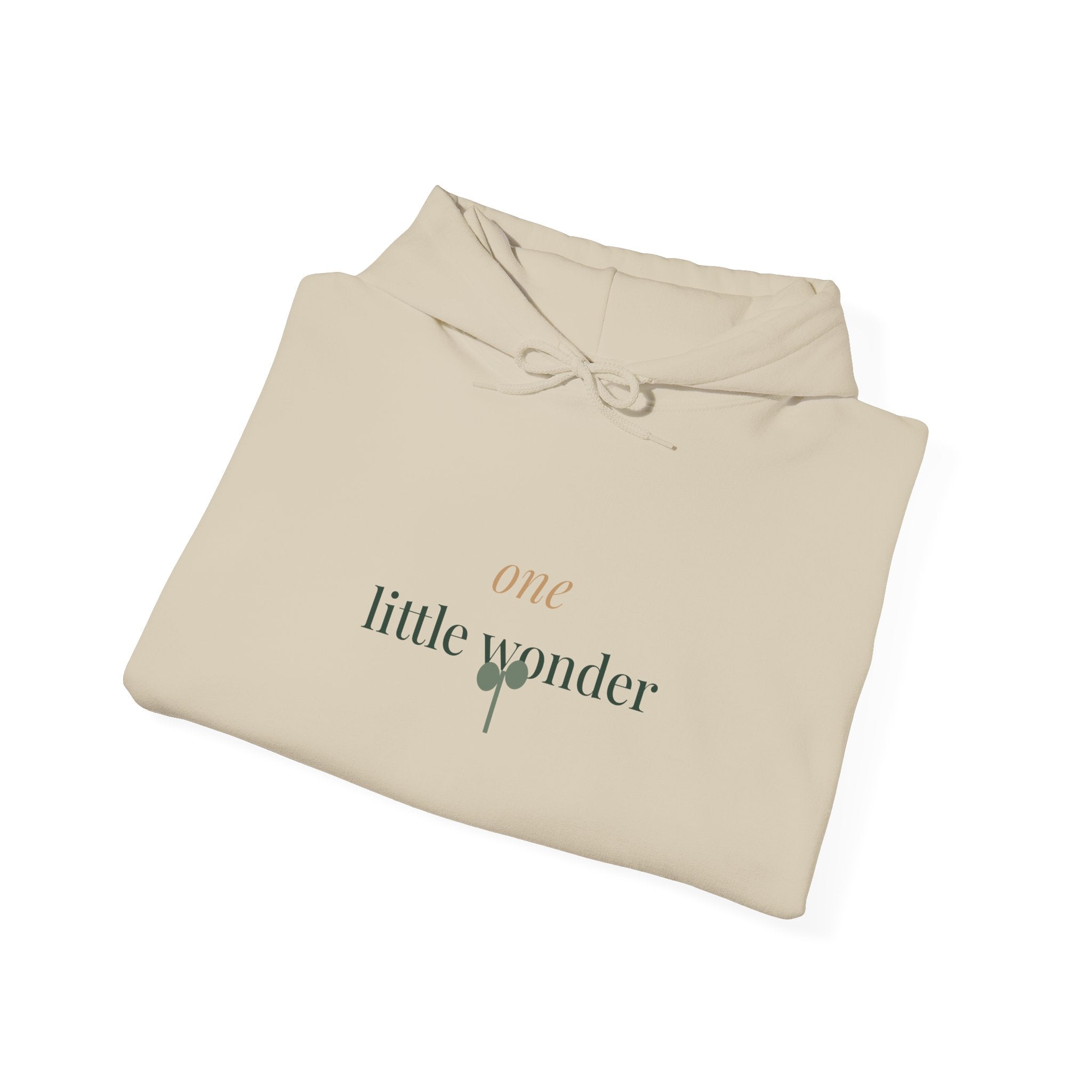 One little wonder Hoodie