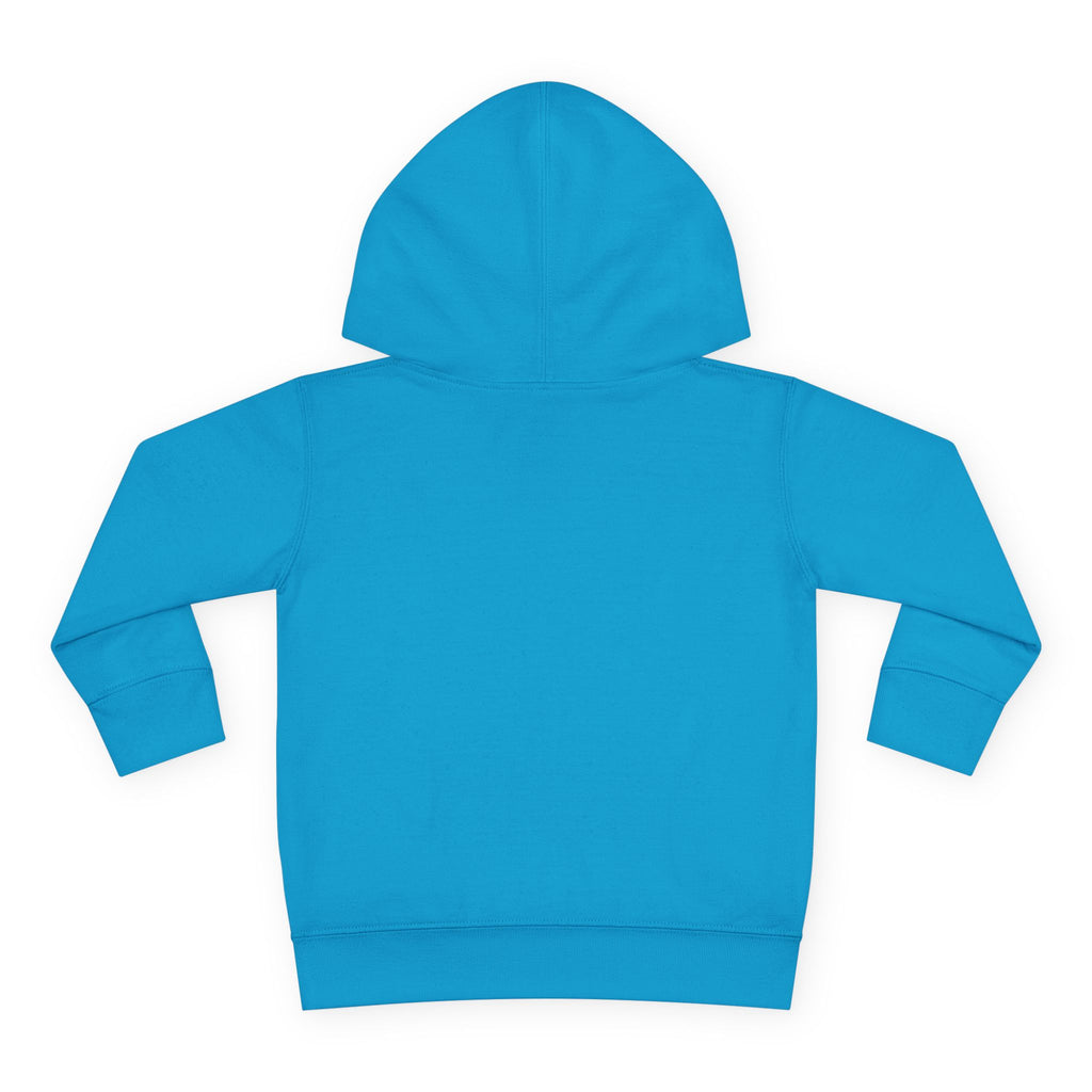 Dreamy Unicorn Toddler Hoodie — Nureli Kids