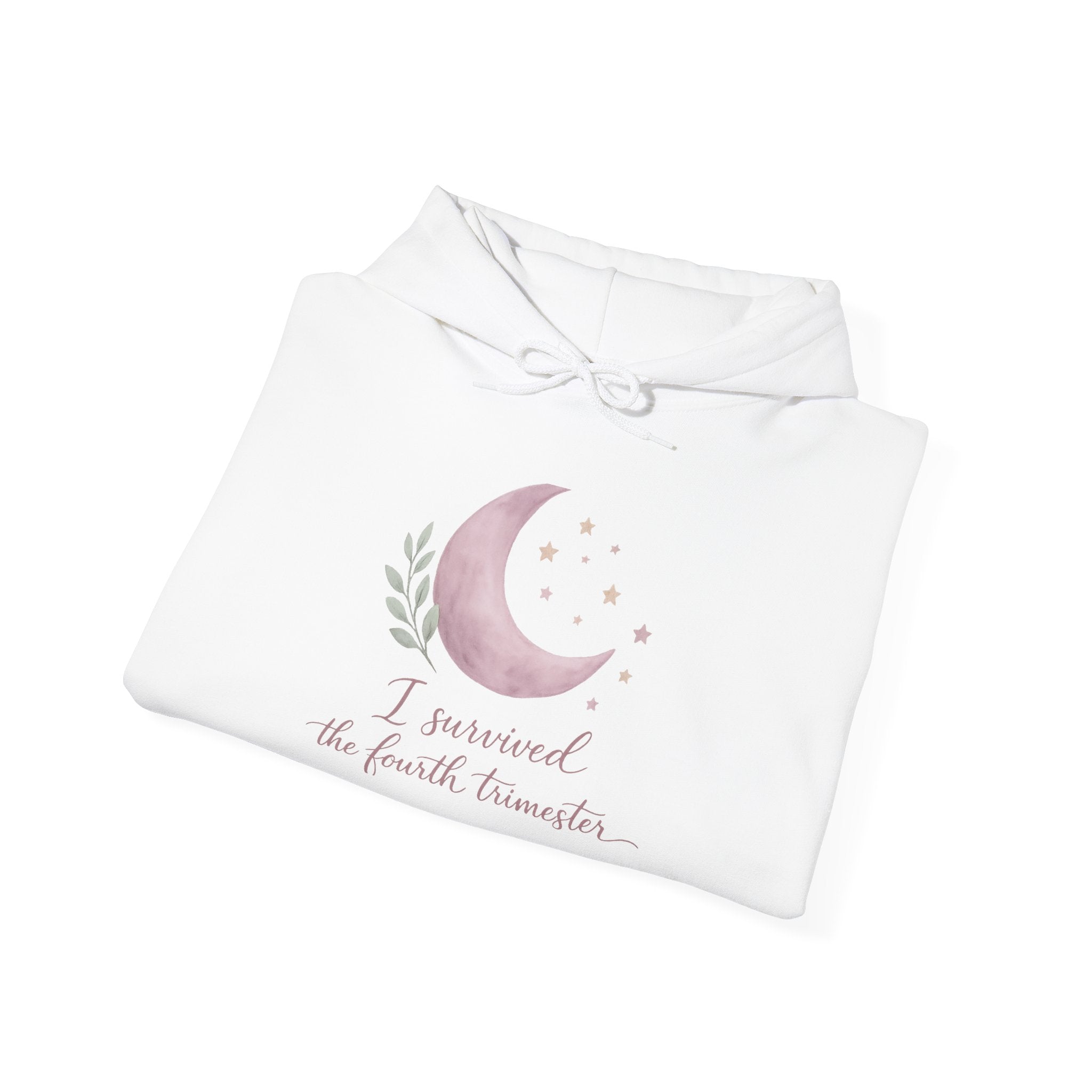 I Survived the Fourth Trimester Hoodie