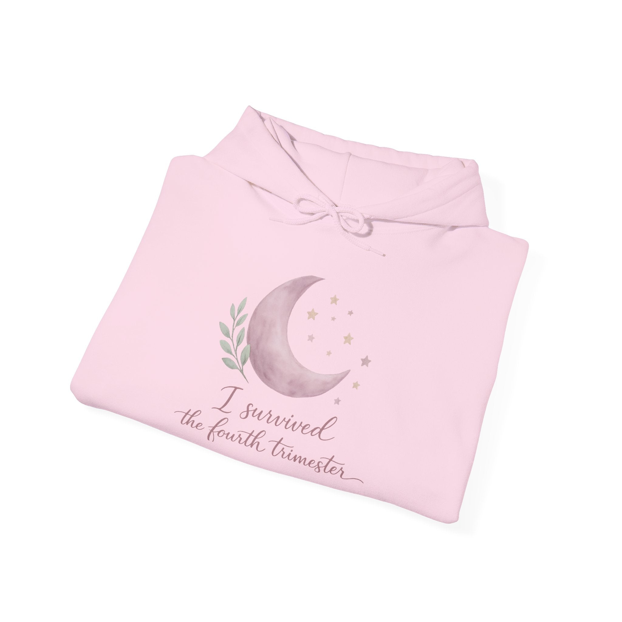 I Survived the Fourth Trimester Hoodie