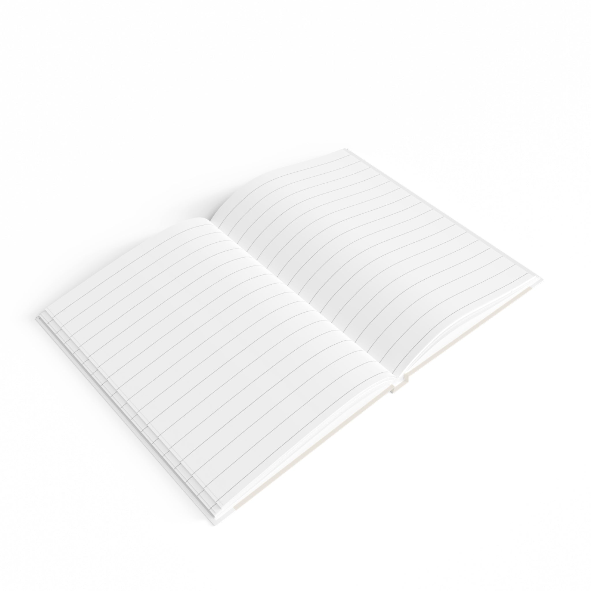 Little Learner Big Future Journal