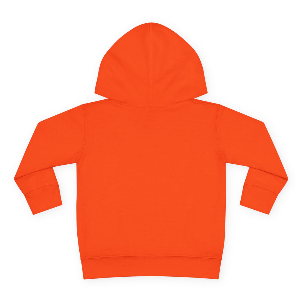 Wise Little Owl Toddler Hoodie — Nureli Kids