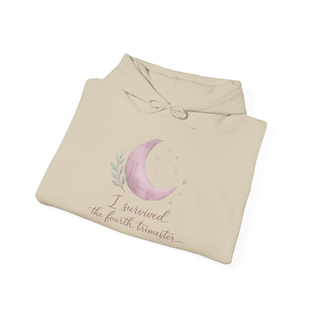 I Survived the Fourth Trimester Hoodie