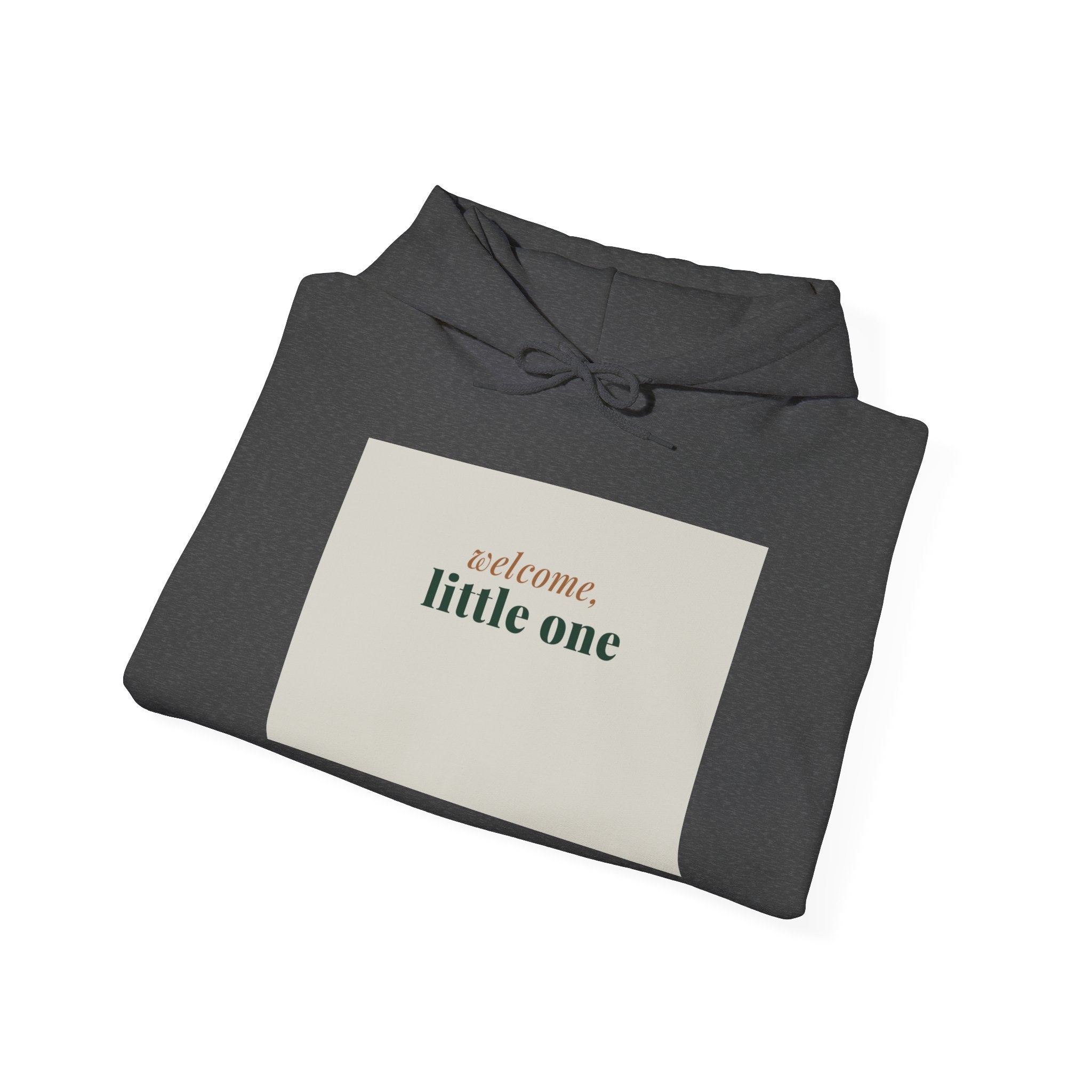 Welcome Little One Hoodie