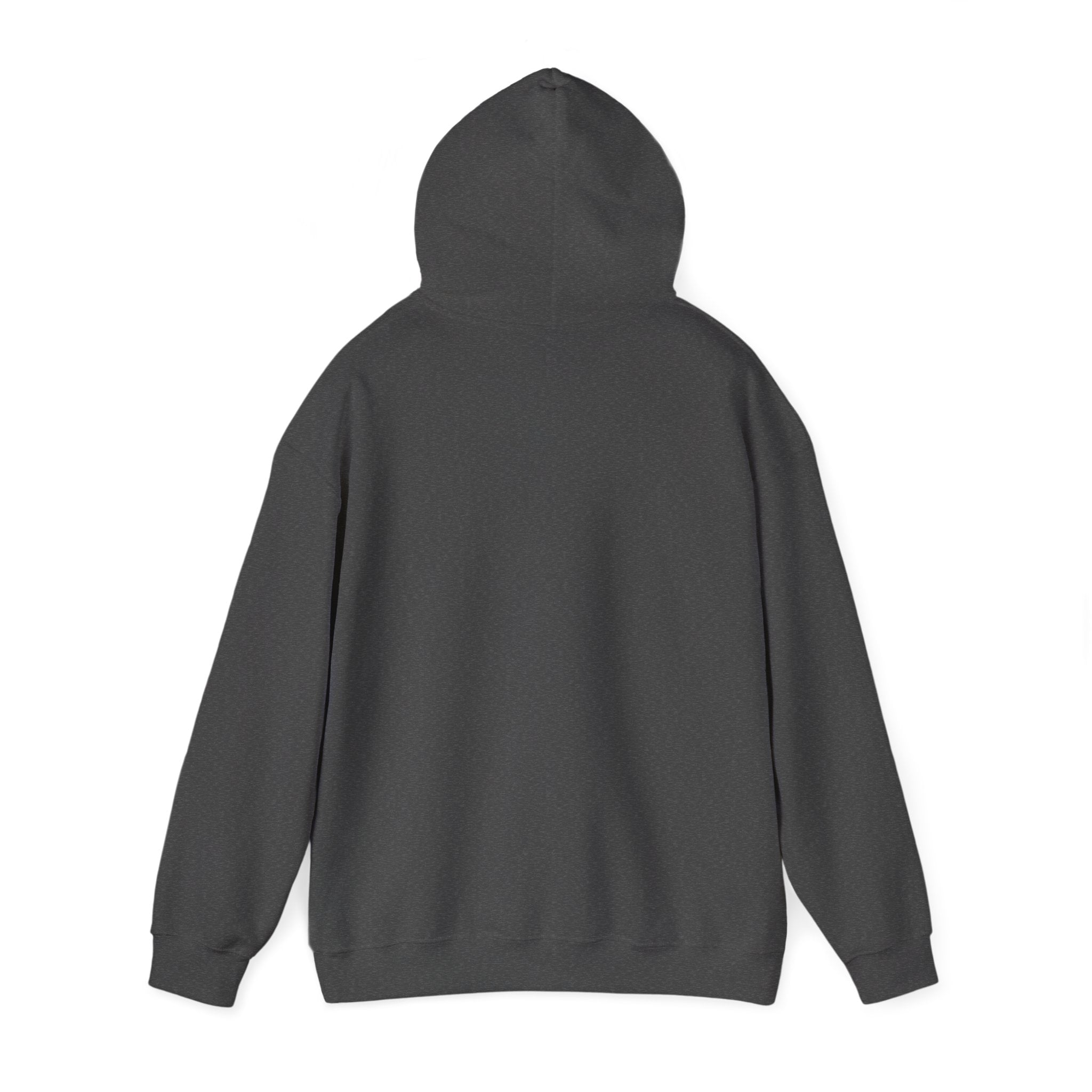 Promoted to Grandpa Hoodie