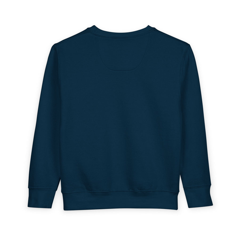 Lumi on the Moon Toddler Sweatshirt — Nureli Kids