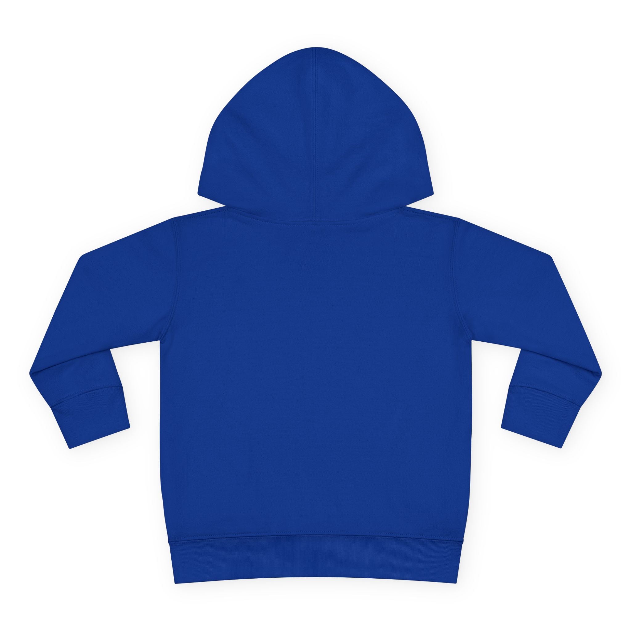 Tiny Dragon Toddler Hoodie — Nureli Kids
