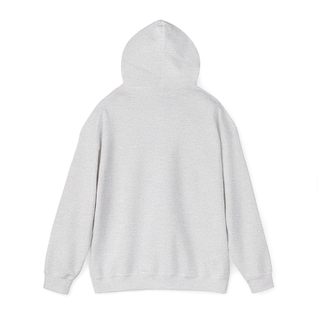 Bonjour Baby Hoodie
