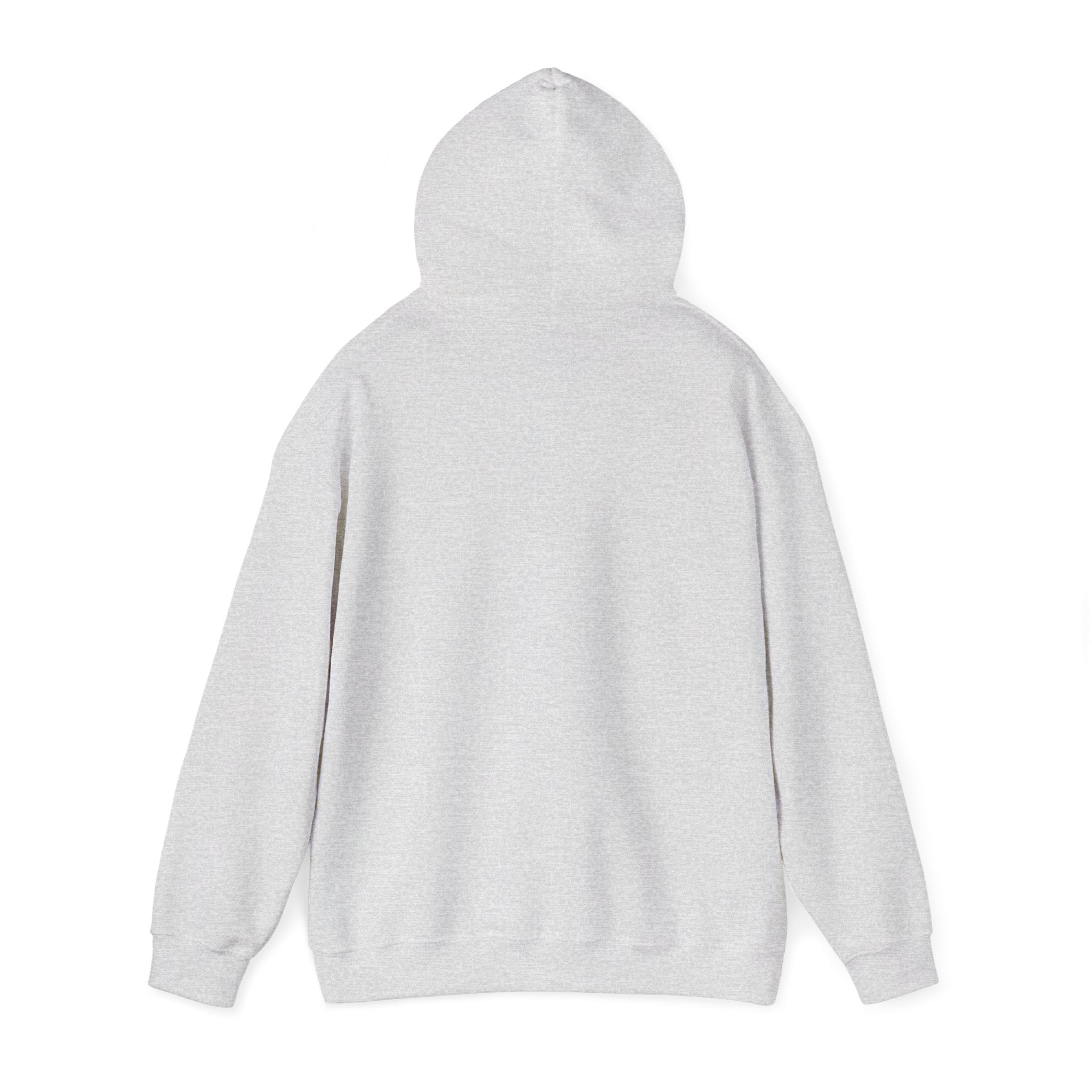 Bonjour Baby Hoodie