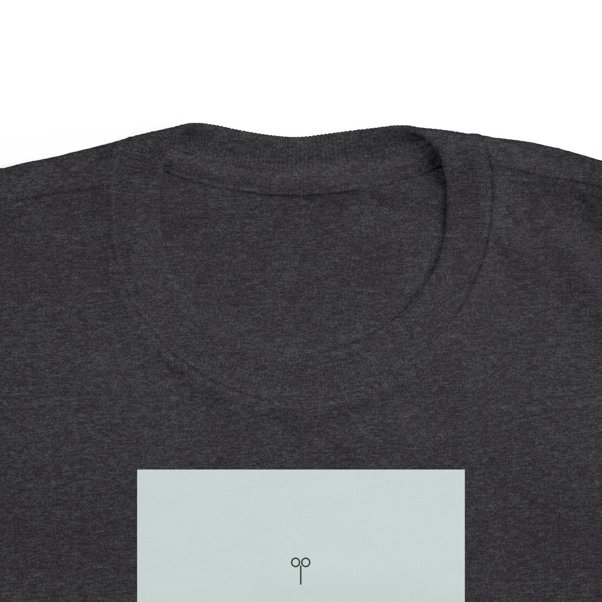 Big Brother Toddler Tee
