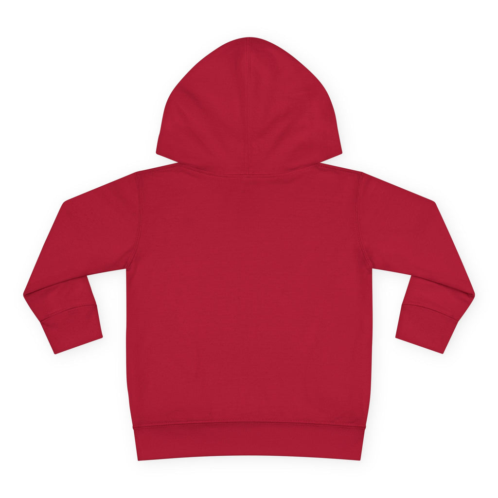Snuggle Bunny Toddler Hoodie — Nureli Kids