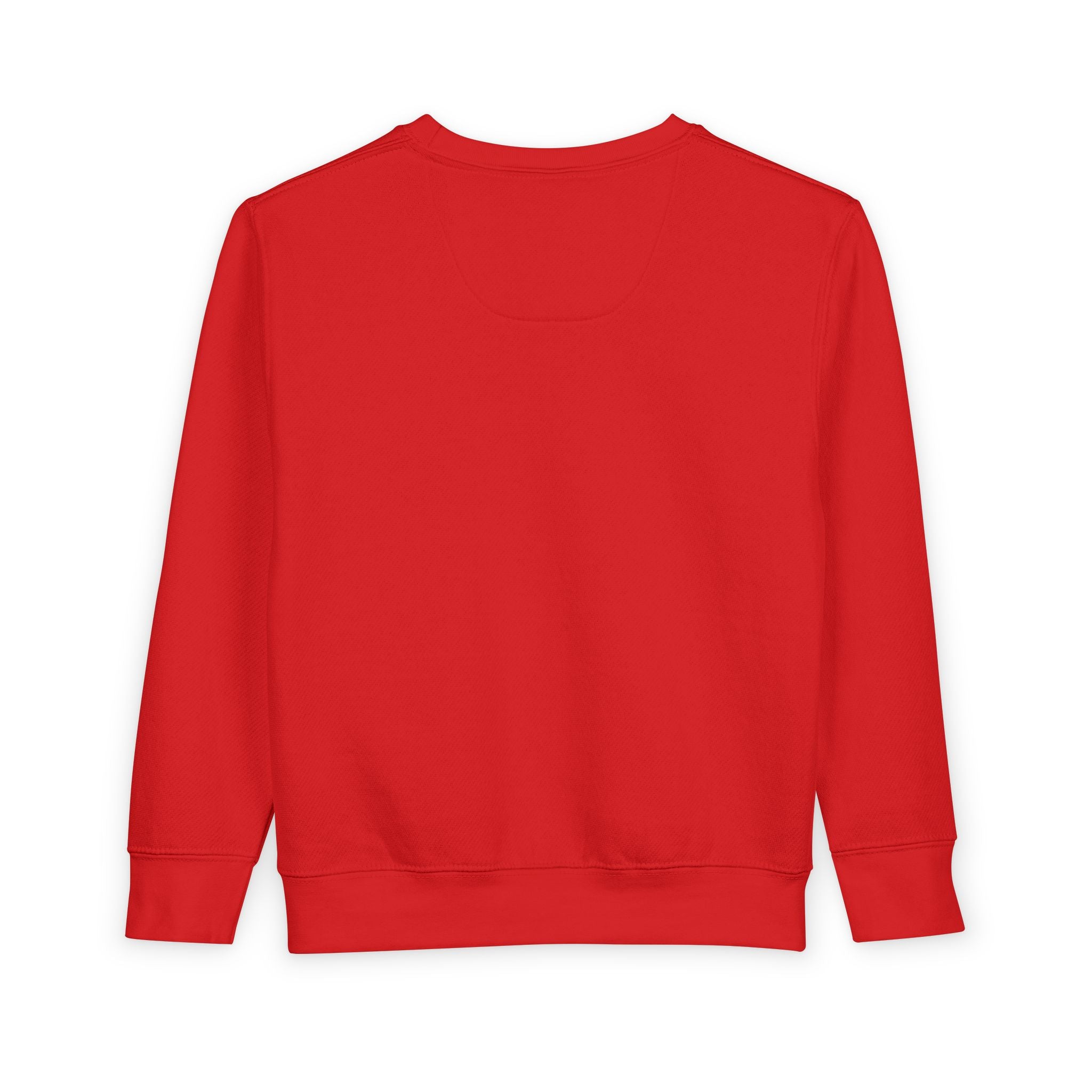 Wise Little Owl Toddler Sweatshirt — Nureli Kids