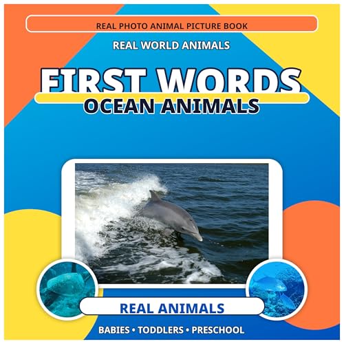 First Words Essential Words real-photo vocabulary book cover for toddlers and preschoolers ages 1 to 4