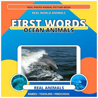 First Words: Title Words for Toddlers & Preschool