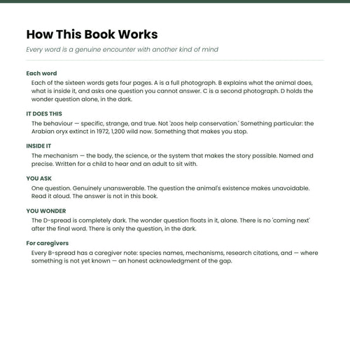 Look inside Animals Zoo: how the book works and how each word unfolds