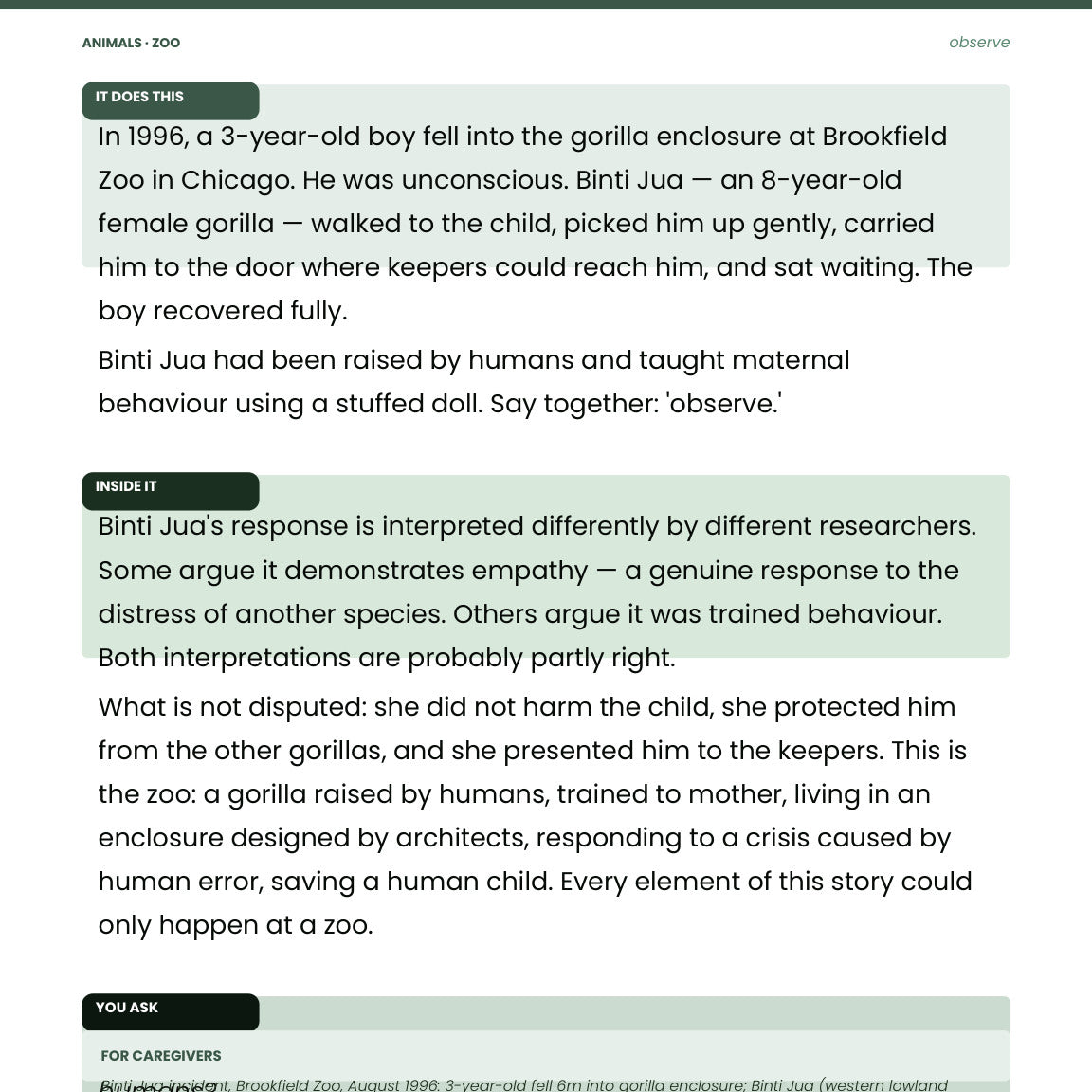 Look inside Animals Zoo: Binti Jua, observation, empathy, and the zoo encounterAnimals: Zoo | Digital Edition