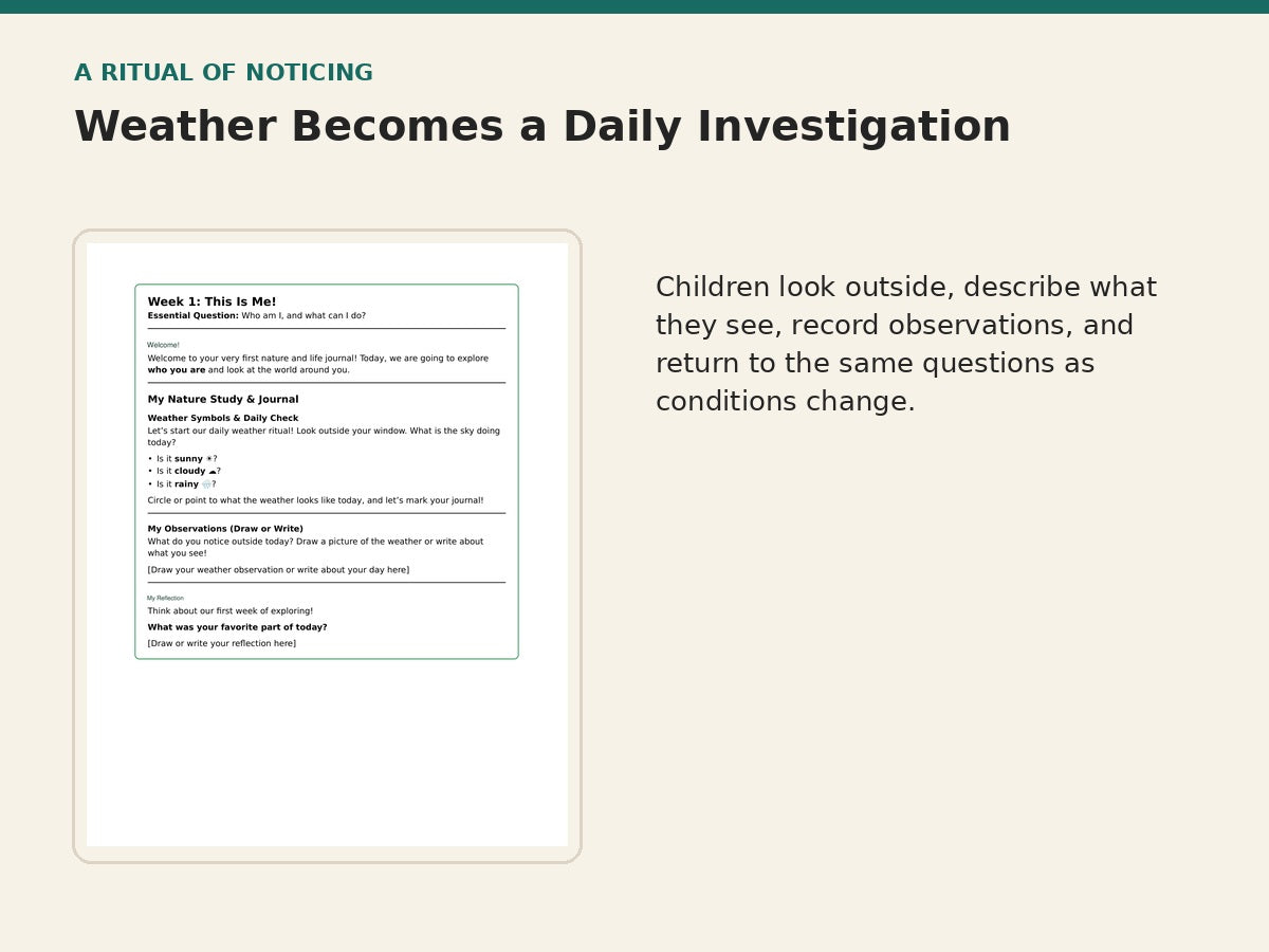 Early Scholars Life and Nature weather observation