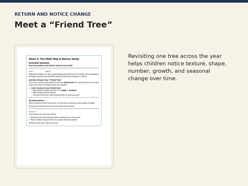 Early Scholars Life and Nature friend tree seasonal observation