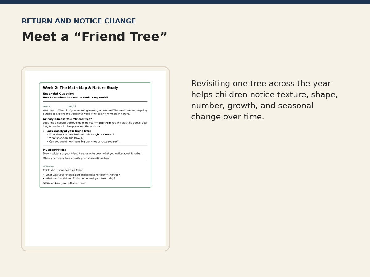 Early Scholars Life and Nature friend tree seasonal observation