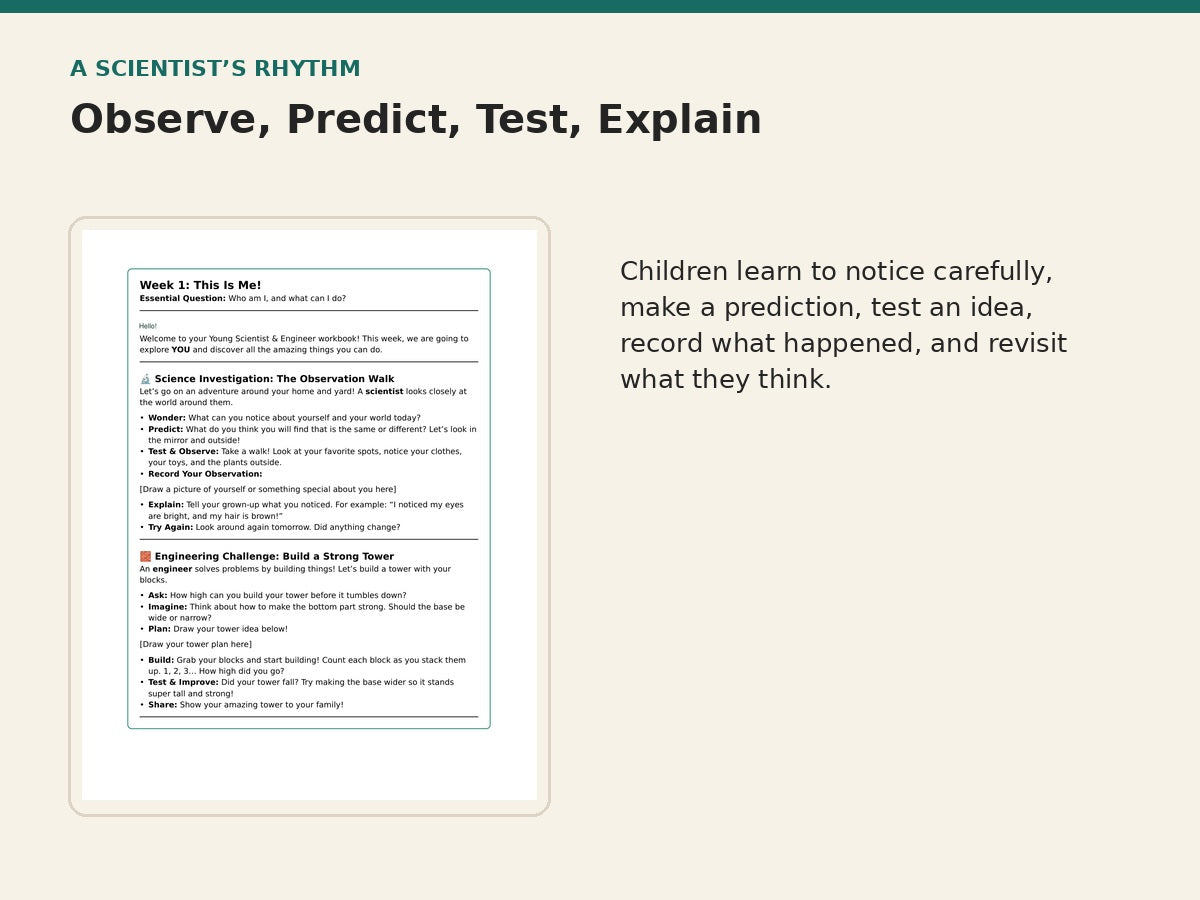 Early Scholars Science and Engineering observation prediction test explain